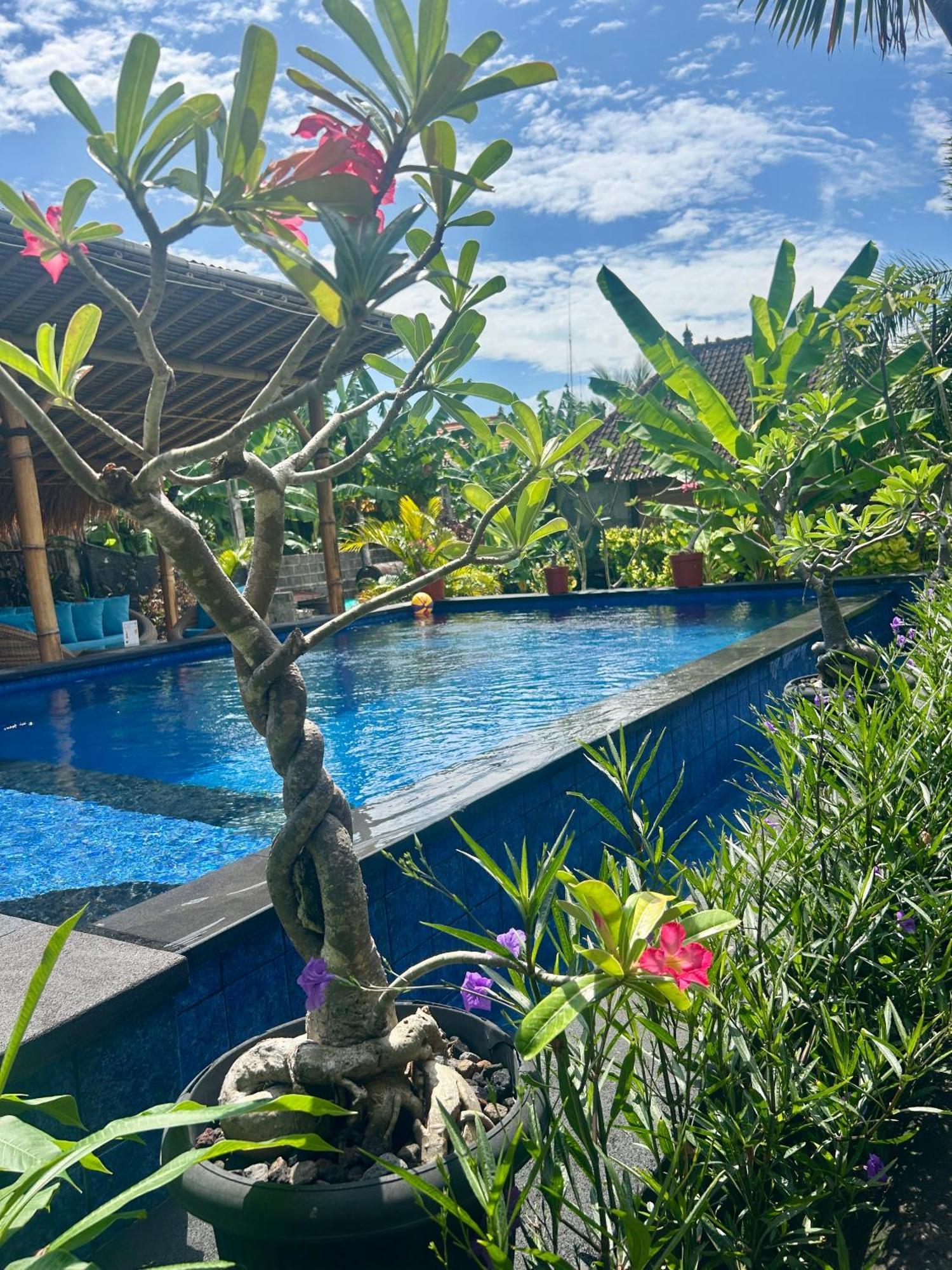 Bed and Breakfast Island Garden Huts Lembongan Exterior foto