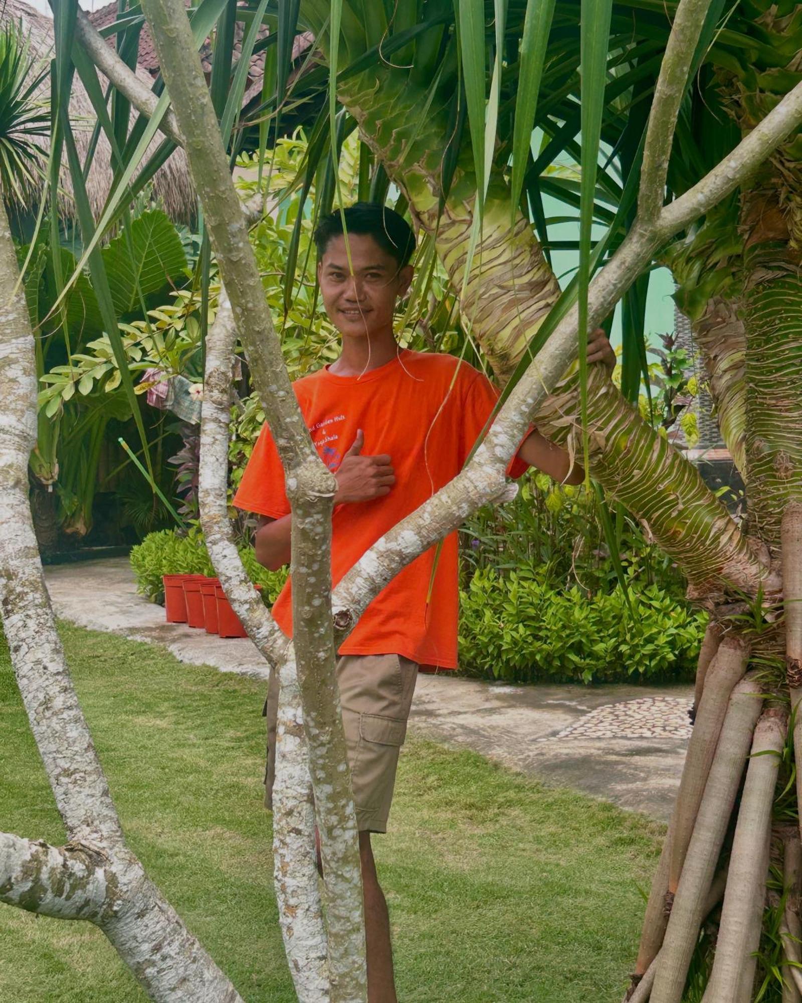 Bed and Breakfast Island Garden Huts Lembongan Exterior foto